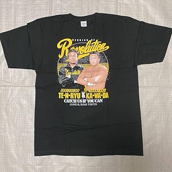 Amazon.co.jp: 生産終了 プロレス 天龍源一郎 川田利明 全日本